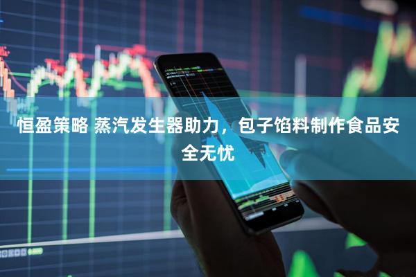 恒盈策略 蒸汽发生器助力，包子馅料制作食品安全无忧